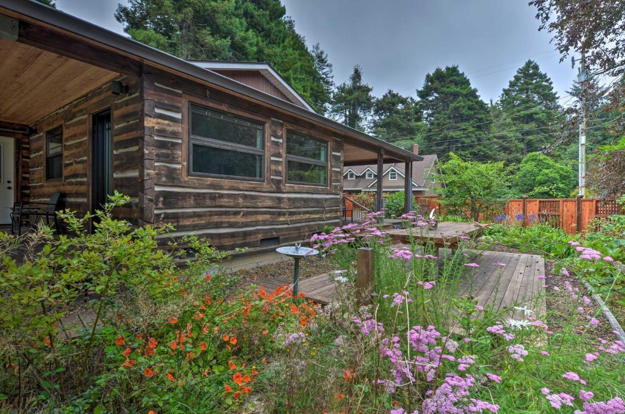 Quiet And Cozy Eureka Home Near Sequoia Park And Zoo! Exterior photo